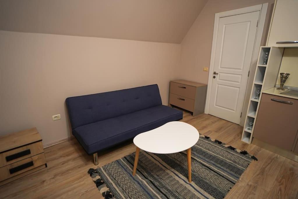 Grandpa House - Studio App.2 Tirana Bagian luar foto